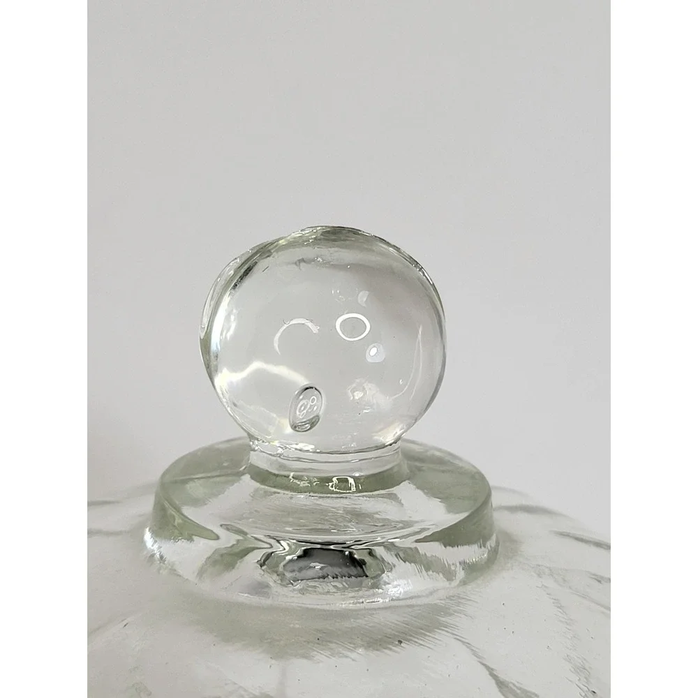 Vintage Style Clear Glass Apothecary Jars with Lids Set of 2 Paneled Canisters